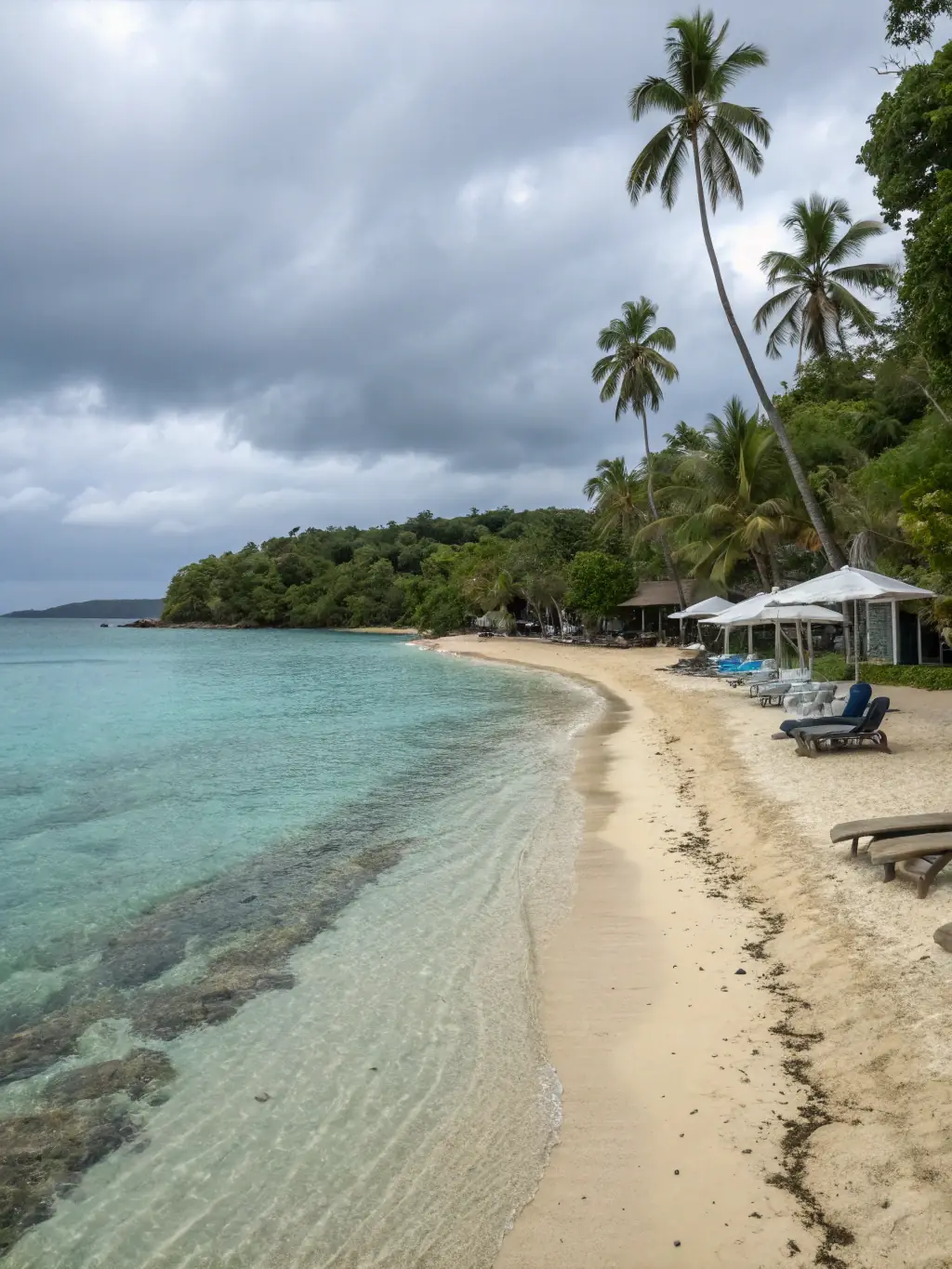 A pristine, white-sand beach in Miches, Dominican Republic, with crystal-clear turquoise water and lush palm trees in the background. The scene is untouched and serene, emphasizing the natural beauty of the region.