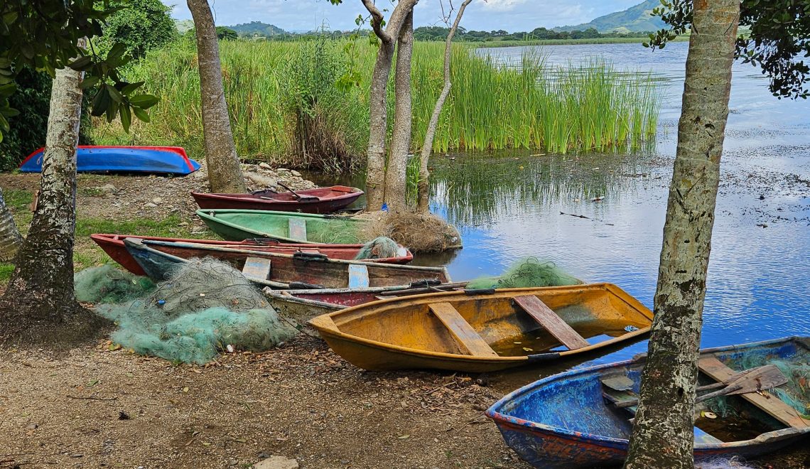 Wildlife spotting in Miches – eco tourism experience in the Dominican Republic