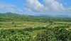 Inland plots of land near the beach in Miches Dominican Republic with stunning mountain and ocean views