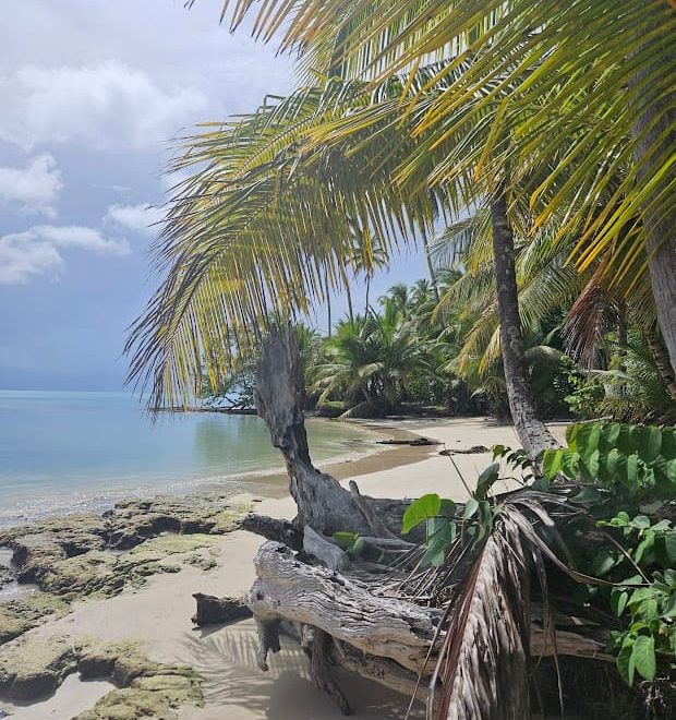 Secluded Caribbean Beachfront Property You’ve Likely Never Heard Of