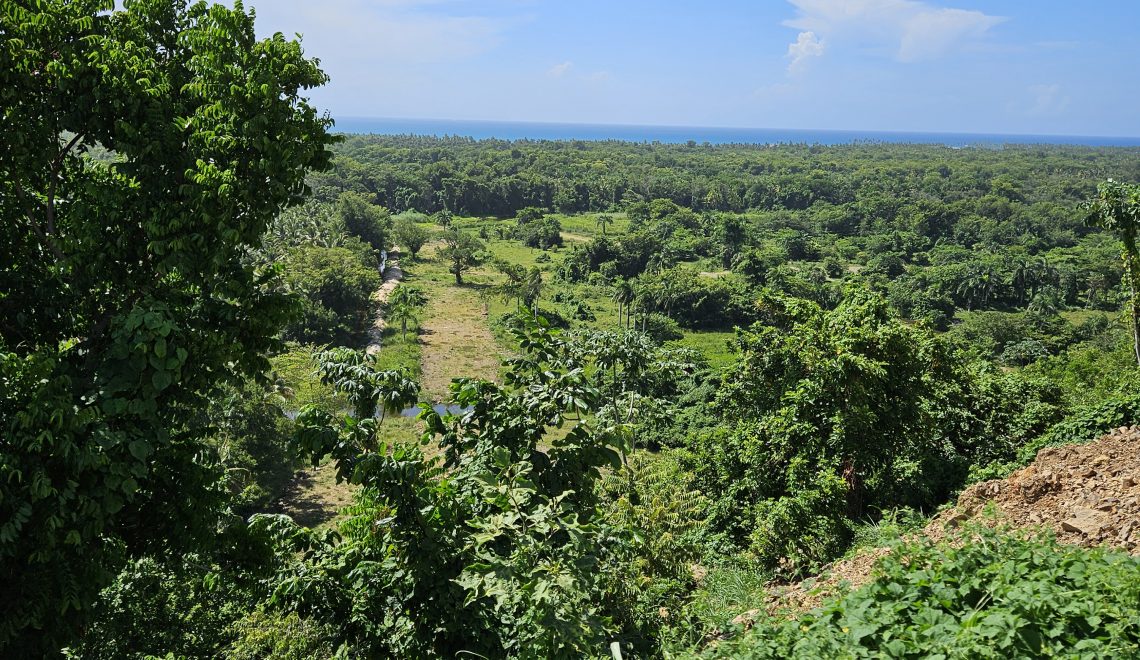 View from near Montaña Redonda over lush fertile land in Miches Dominican Republic ready for investment and development